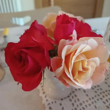 Del Contadino Bed & Breakfast