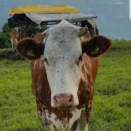 Del Contadino Sondrio