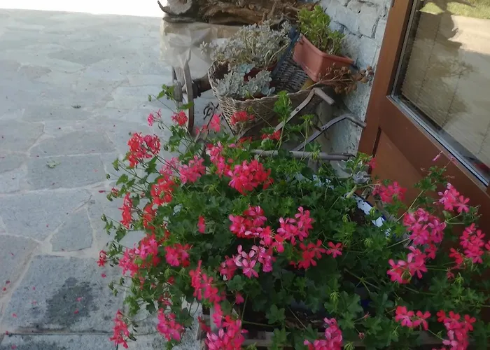 فندق مبيت وإفطار Del Contadino سوندريو
